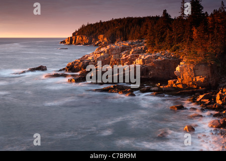 Monument Cove et Otter Cliffs à l'aube, l'Acadia National Park, près de Bary Harbor, Maine, USA Banque D'Images