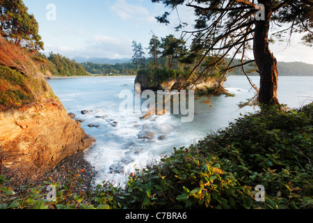 Rivage accidenté à Salt Creek Recreation Area, Clallam County, Washington, USA Banque D'Images