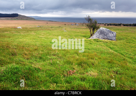 Prairie, camp américain, l'île San Juan, le parc historique national de San Juan Island, Washington, USA Banque D'Images