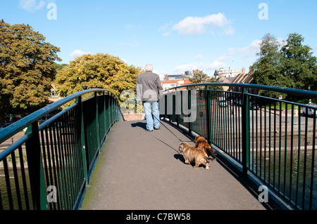 L'homme avec deux chiens traversant le pont pour piétons d'Eel Pie Island, Twickenham, Middlesex, England, United Kingdom Banque D'Images