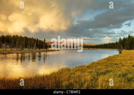 Les nuages de tempête au cours de la construction et de la rivière Yellowstone prés herbeux près de coucher du soleil, le Parc National de Yellowstone, Wyoming, USA Banque D'Images