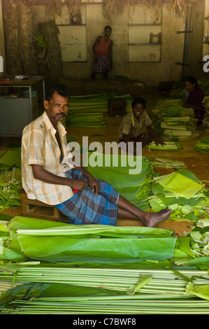 Les fruits et légumes vendus sur le marché de Madurai, Tamil Nadu, Inde. Banque D'Images