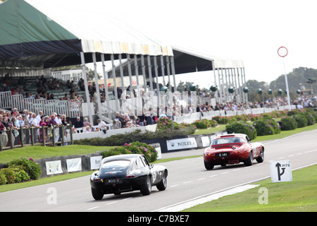 Le circuit de Goodwood Motor le premier jour du Goodwood Revival Meeting 2011. Banque D'Images