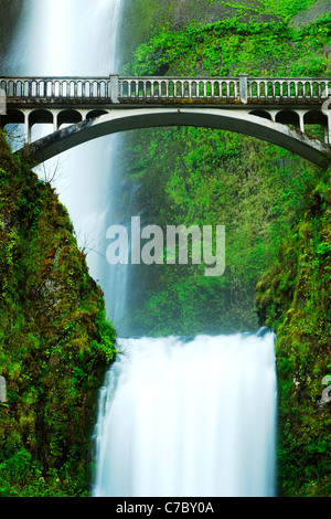 Chutes de Multnomah et pont, Columbia River Gorge National Scenic Area, Oregon, USA Banque D'Images