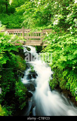 Pont sur Waheena Creek, Columbia River Gorge National Scenic Area, Oregon, USA Banque D'Images