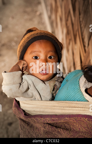 L'Inde, Nagaland, Naga Konyak Longwa, village du jeune enfant Angh transportés en châle sur mother's back Banque D'Images