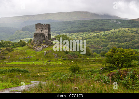 Château de dolwyddelan en Galles Banque D'Images
