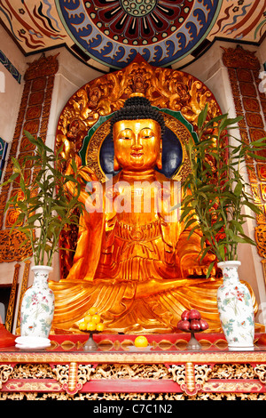 Statue de Bouddha en Po Fook Hill Cemetery, Sha Tin, de nouveaux territoires, de Hong Kong, République populaire de Chine, l'Asie Banque D'Images