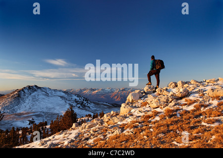 Male hiker en montagnes Blanches au lever du soleil (Sierra montagnes en arrière-plan), Inyo National Forest, Montagnes Blanches, en Californie Banque D'Images