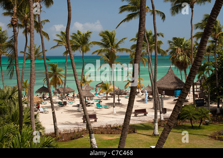 Portrait de Palm Beach, Aruba, Antilles néerlandaises, montrant une plage de sable blanc, soleil baigneurs, claire de la mer turquoise et des palmiers Banque D'Images