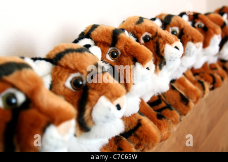 Huit tigre peluche jouets alignés dans une rangée.L'accent est sur la troisième tiger dans le pack. Banque D'Images