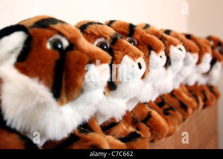 Huit tigre peluche jouets alignés dans une rangée.L'accent est sur le deuxième tigre dans le pack. Banque D'Images