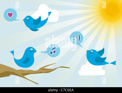 Oiseaux matin Twitter communication. Les médias sociaux connexion réseau concept Banque D'Images