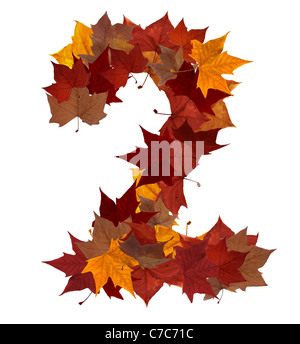 Numéro 2 fait avec les feuilles d'automne isolated on white with clipping path. Ainsi vous pouvez facilement le découper et le placer sur le dessus d'un dessin ou modèle. Trouver d'autres symboles dans notre portefeuille de composer vos propres mots. Banque D'Images