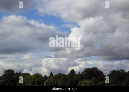Skyline dessus de la cime des arbres, nuages surréaliste de différentes densités et de nuances dans un ciel imprévisible Banque D'Images