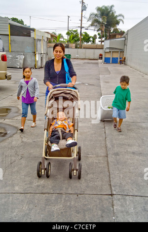 Une jeune mère hispanique et ses trois enfants transporter accueil aliments donnés à un organisme de bienfaisance la distribution à Santa Ana, CA. Banque D'Images