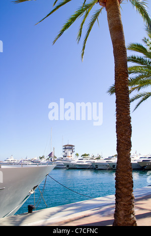 Calvià Puerto Portals Nous de luxe à Majorque Îles Baléares d'Espagne Banque D'Images