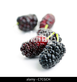 Peu de petits fruits mûrs, mulberry close up on white background Banque D'Images