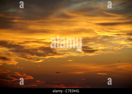 Coucher du soleil Ciel avec nuages, Cape Tarhankut, Tarhan Qut, Crimea, Ukraine, Europe de l'Est Banque D'Images