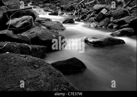 Beck, de l'ouest de North York Moors Goathland Banque D'Images