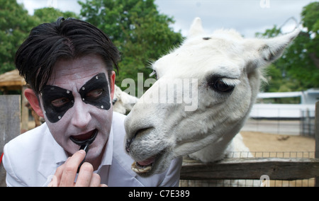 Des O'Connor, star du Zoo de Londres est tard nuit cabaret d'ouverture, la loi donne la dernière touche à son maquillage sous le Banque D'Images