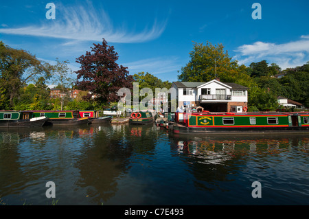 Bateaux amarrés Narrowboats étroit canal par les bateaux sur la rivière Wey Guildford Surrey England UK Banque D'Images