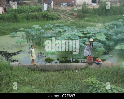 Une femme faisant la blanchisserie à Changsha, Chine, à côté d'un étang couvert de grandes plantes latifoliées, avec sa fille qui se tenait à côté de Banque D'Images