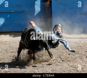 Jeune tombant dans le cas de la circonscription de veau rodeo tenue sur la réserve de Fort Hall, le Wyoming. Banque D'Images