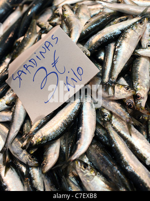 Dégustation de Tapas en Espagne Jerez de sardines dans le marché dans le centre de Jerez. Photo par Fabio De Paola Banque D'Images