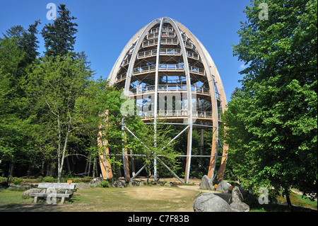 Baumwipfelpfad, une tour en bois construction de la Tree Top walk dans le Parc National de la forêt bavaroise, Grafenau, Allemagne Banque D'Images