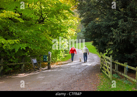 Deux dog walkers à Westonbirt Arboretum dans le Gloucestershire, Angleterre, RU Banque D'Images