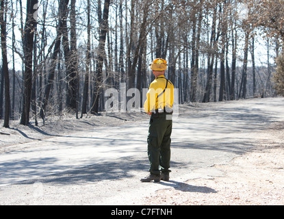 Bastrop State Park, surintendant Todd McClanahan, donne sur les zones endommagées par des incendies qui ont ravagé la région en 2011 Banque D'Images