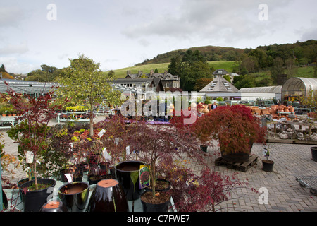 Hayes Garden World Garden Centre Ambleside Cumbria au nord ouest de l'Angleterre Royaume-Uni Royaume-Uni Grande-bretagne Go Europe Banque D'Images