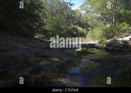 NSW côtières près de ruisseau Newcastle, Australie Banque D'Images