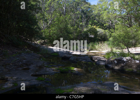 NSW côtières près de ruisseau Newcastle, Australie Banque D'Images