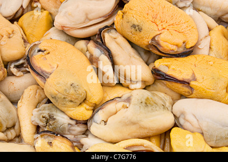 Fruits de mer moules jaune coque arrière-plan vue rapprochée Banque D'Images