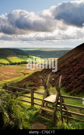 Un stile menant à un chemin vers le bas le trou de Horcum, près de Levisham Banque D'Images