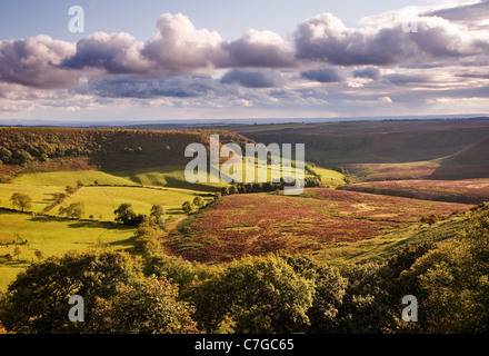 Une vue sur le trou de Horcum, près de Levisham prises à la fin de l'été Banque D'Images