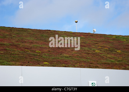 Sedum en pente de toit d'herbe sur un bâtiment de services publics à Letterkenny comté de Donegal en république d'Irlande Banque D'Images