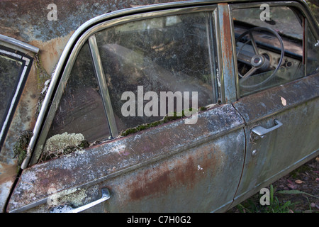 De plus en plus de mousse sur une voiture rouillée abandonnée Banque D'Images