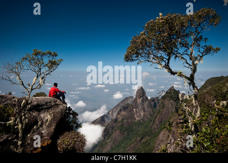 Parque Nacional da Serra dos Órgãos la Serra dos Orgaos Parc National de l'État de Rio de Janeiro Brésil Vue depuis Travessia da Neblina Banque D'Images