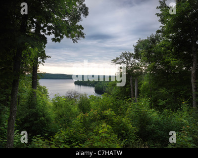 Le Parc Provincial Algonquin Vue sur Lac fumée paysage nature en été. L'Ontario, Canada. Banque D'Images