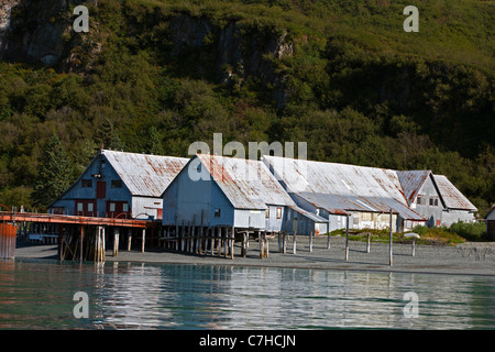 Snug Harbor, conserverie, Tuxedni Chisik Island Wilderness, Alaska Maritime National Wildlife Refuge, en Alaska, United States Banque D'Images