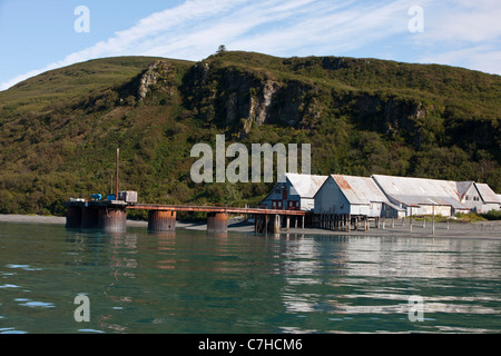 Snug Harbor, conserverie, Tuxedni Chisik Island Wilderness, Alaska Maritime National Wildlife Refuge, en Alaska, United States Banque D'Images