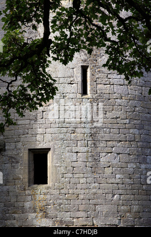 Château Nunney - un château médiéval dans Somerset, Angleterre, Royaume-Uni Banque D'Images