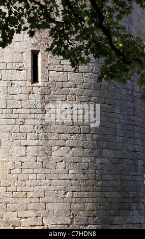 Château Nunney - un château médiéval dans Somerset, Angleterre, Royaume-Uni Banque D'Images