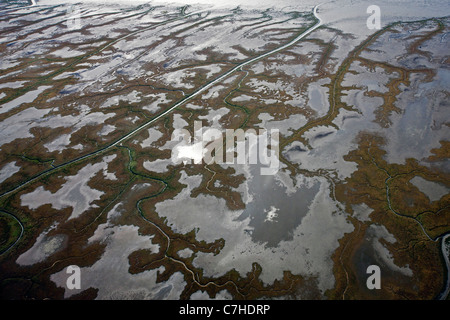 Vue aérienne de marais le long de la Cook Inlet, Alaska, United States of America Banque D'Images