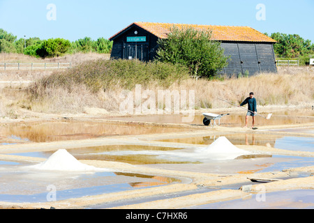 La saline, Port des Salines, l'île d'Oléron, Poitou-Charentes, France Banque D'Images