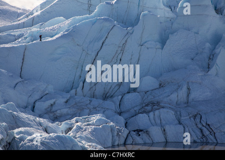 Un grimpeur sur la Matanuska Glacier, Alaska. Banque D'Images