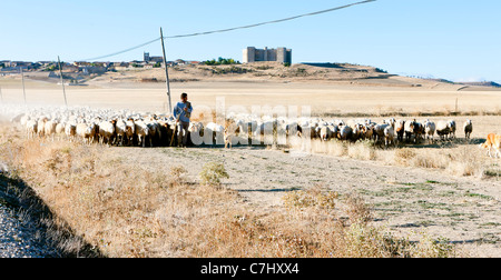 Troupeau de moutons avec Bouvier, Montealegre, Castille et Leon, Espagne Banque D'Images